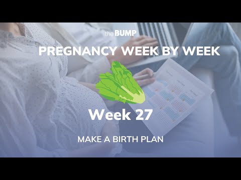 This week in Babyland (Week 27)