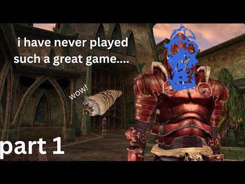 Morrowind with a someone who has never played this game before