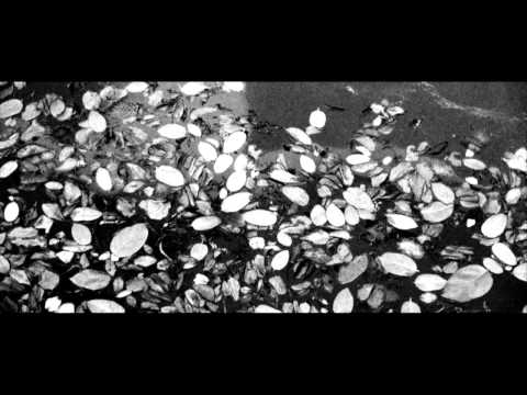 wingenfelder:Wingenfelder - Revolution