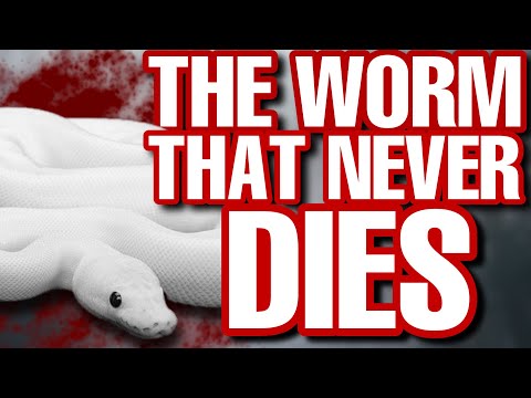 The WORM that never dies - The TRUTH about Eternal Damnation