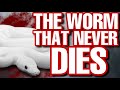 The WORM That Never Dies The TRUTH About Eternal Damnation