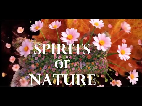 SPIRITS OF NATURE PROJET