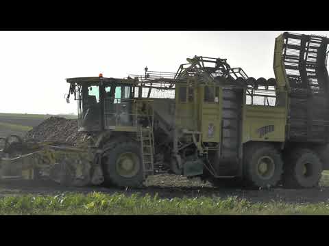 Die Großen Giganten von den Rübenbauern sind wieder unterwegs die Ernte Zeit ist dafür Zuckerüben er