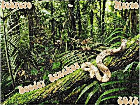 Danny Romero-Perfecta Ft Aitor Galan Ft Dj Sanchez 2013.