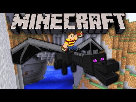 Swimming Bird - Minecraft 1.5.1 Snapshot: Dragon Griefing, Better Book Enchantment, Painting Fix & More! 13w11a