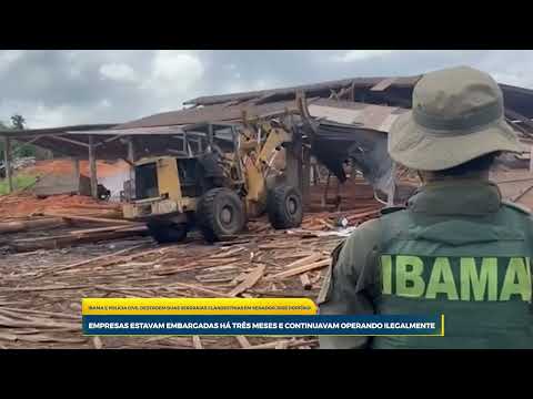 Ibama e Polícia Civil destroem duas serrarias clandestinas em Senador José Porfírio, no Pará Empresa