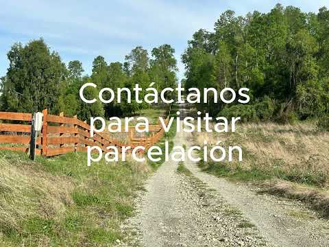 Así es vivir rodeado de naturaleza en Futrono en el sur de Chile