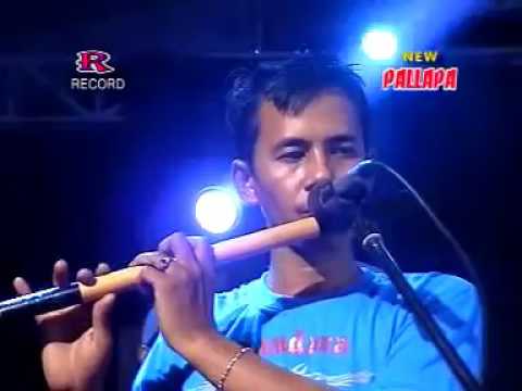 Rahmat illahi Gerry Mahesa NEW PALLAPA