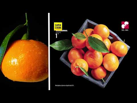 Mercator redovni katalog 5.11.-18.11.2020.