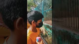 Download lagu Kerala State Museum and zoo Thrissur #zoo #museum #kerala #thrissur # mp3 Download lagu Kerala State Museum and zoo Thrissur #zoo #museum #kerala #thrissur # mp3
