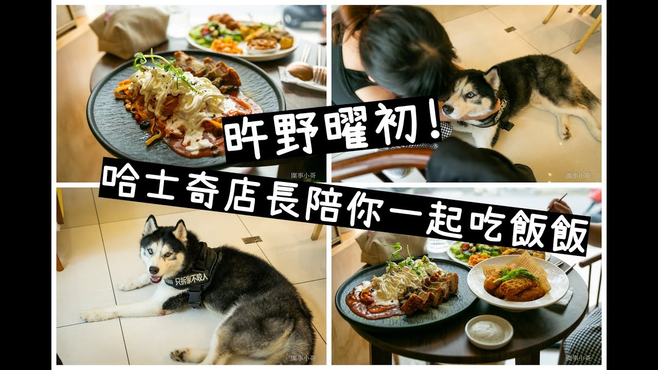 超可愛哈士奇店長陪你吃飯!快來旿野曜初~~ #中壢龍岡早午餐 #圍事小哥 #桃園中壢美食 #南亞美食 #寵物友善 #中壢一號社宅美食