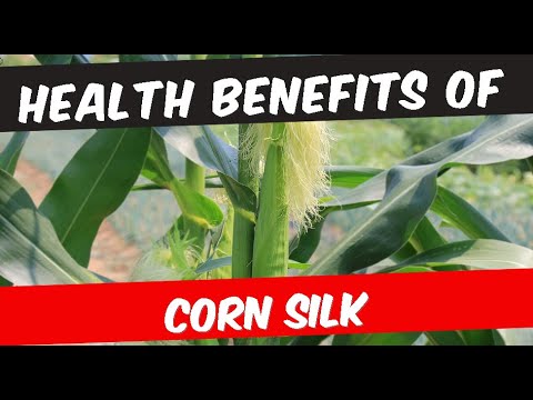 Health Benefits of Corn Silk Tea