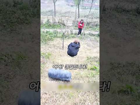 개만도 못한 절친