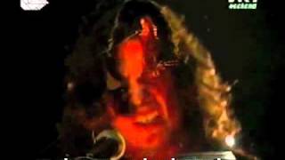 Jaguares -  Quisiera ser Alcohol (TRANSLATION)