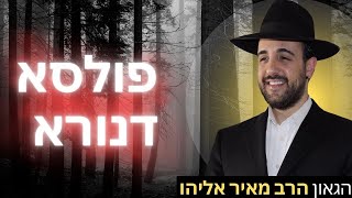 הרב מאיר אליהו | פולסא דנורא | יזדים - ה'תשפ"ה (הרב מאיר אליהו) - התמונה מוצגת ישירות מתוך אתר האינטרנט יוטיוב. זכויות היוצרים בתמונה שייכות ליוצרה. קישור קרדיט למקור התוכן נמצא בתוך דף הסרטון