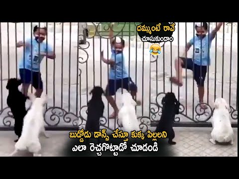 Viral Video : Small Boy Hilariously Playing With Dogs Goes Viral | Life Andhra Tv