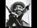 Muddy Waters - Black Night - Juan Pablo Franco Parra Muddy Waters - Black Night