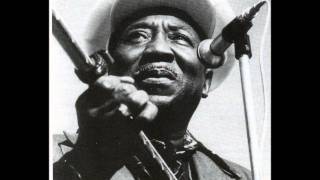Muddy Waters - Black Night