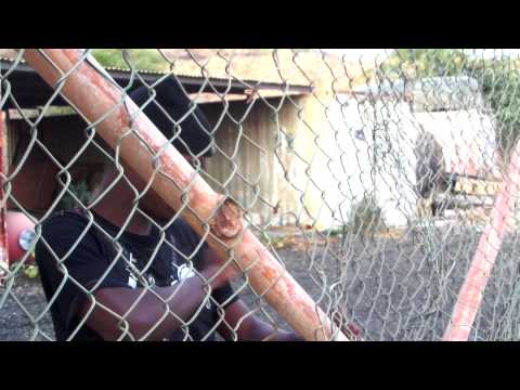 Bu Podi Tudo - Wise Henrick ft Guetho Soldier