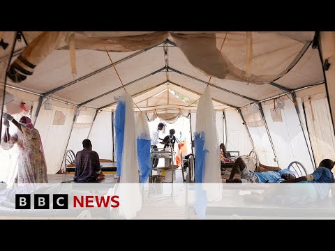 Video | UN to investigate reported mass killings in Sudan | BBC News