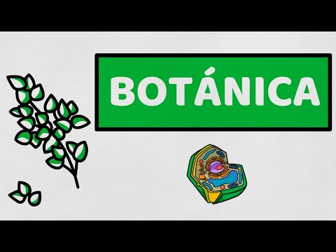 ☘️ INTRODUCTION TO BOTANY | Plant Biology