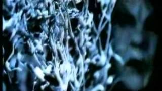 Meat Loaf   If this is the last kiss   YouTube