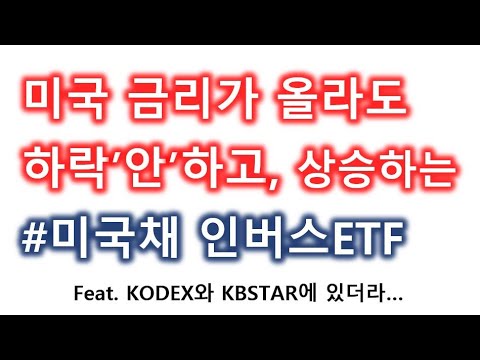 미국금리가 상승해도 가격이 하락'안'하는 미국채 인버스ETF