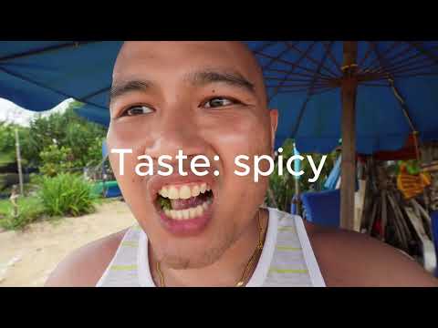 Vlog 19: I tried Betel Nut from a Random Burmese guy in Thailand