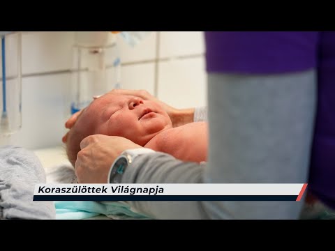 Híradó – 2025.11.17– Hétfő