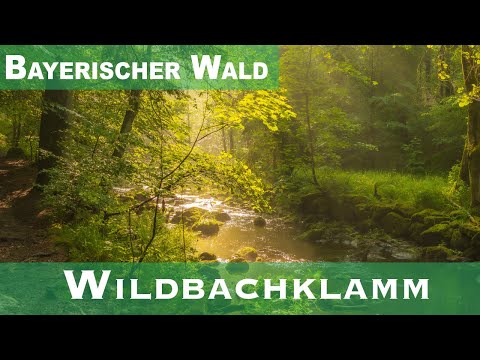WANDERUNG DURCH DIE SCHÖNSTE WILDBACHKLAMM IM BAYERISCHEN WALD | Wandern in der Buchberger  Leite 🥾