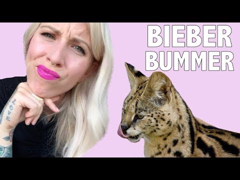 Justin Bieber's New Savannah Kittens Are a Bummer