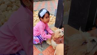 Download lagu Kathu Mela Animals🐉Version💢Pappa Vs Appa🤪#ramsivasatamil | #சஹானா | #comedy | #trending mp3 Download lagu Kathu Mela Animals🐉Version💢Pappa Vs Appa🤪#ramsivasatamil | #சஹானா | #comedy | #trending mp3