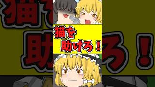10秒後･･･猫を助けろ！？守れるか・・・ #shorts #博麗霊夢 #ゆっくり茶番劇