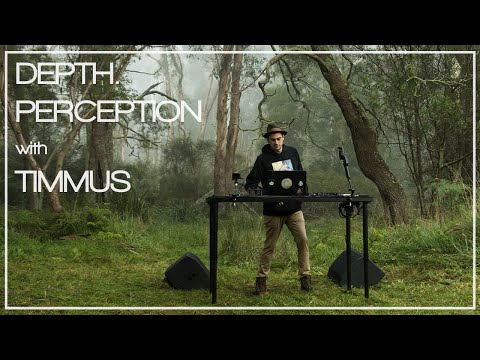 DEPTH. PERCEPTION with TIMMUS