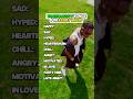 Travis Scott Songs For Every Mood