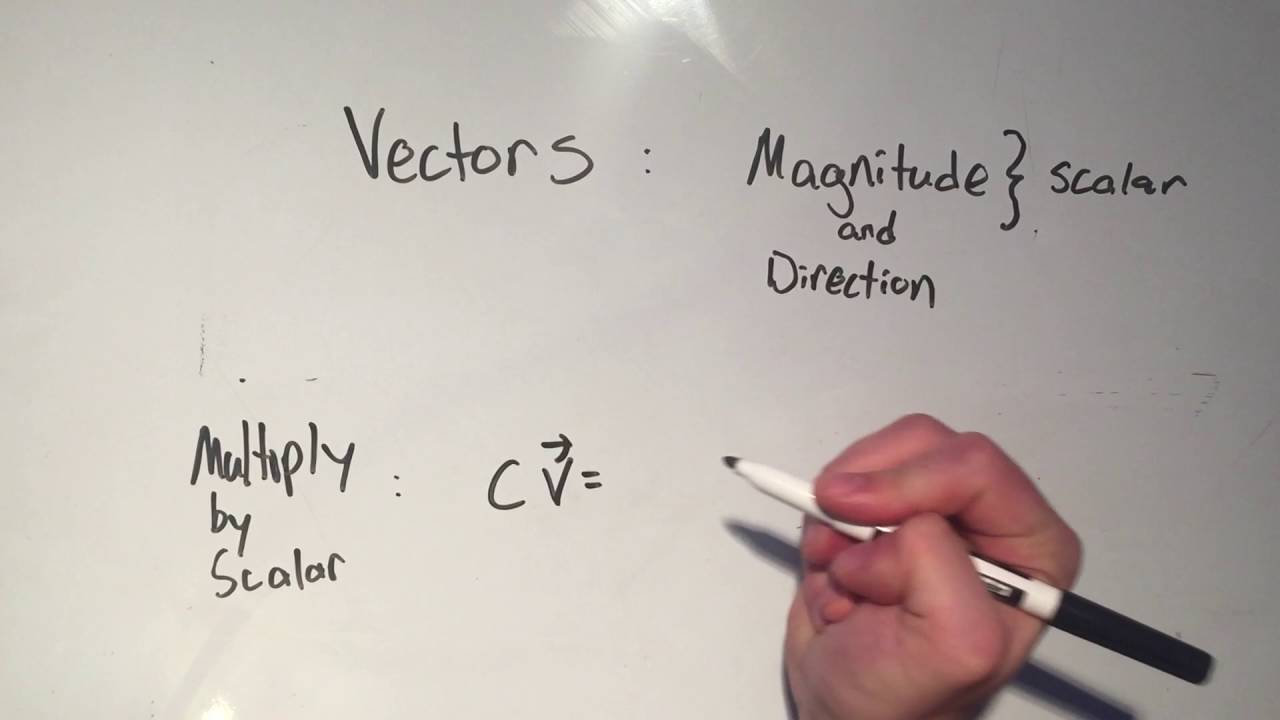 Vectors: Vector Basics