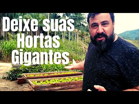 Adubo Orgânico para bombar suas hortas, veja como aplicar nos canteiros