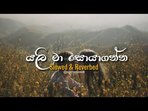 Yali ma soya ganna (යලි මා සොයා ගන්න) - ( Slowed+Reverb ) | Manoparakata Sindu |  Slow Sinhala Songs