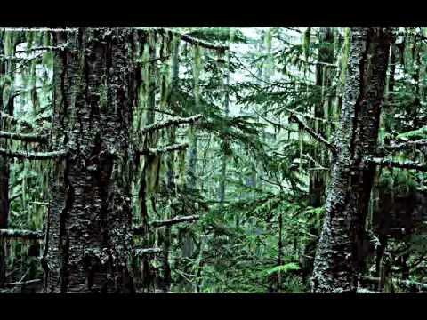 Rotaride - Hebunamin - [Kurdish Melankolia Rap 2011]