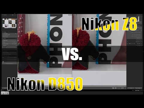 Nikon Z8 vs. Nikon D850 Image Quality Comparison