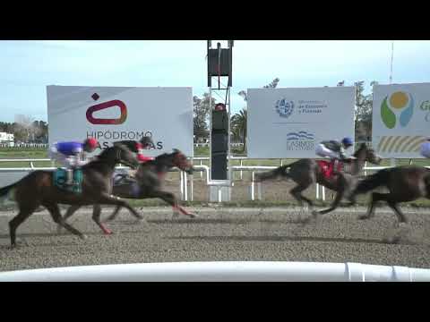 230908 C07 - LEGAL AVENUE - HIPODROMO LAS PIEDRAS