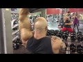 Triceps : Overhead Dumbbell Extension