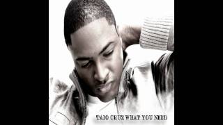 Taio Cruz - What You Need | HD