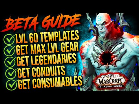 The Shadowlands Beta COMPLETE GUIDE