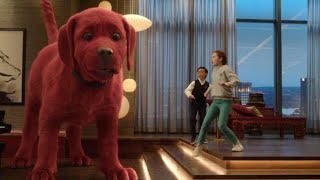 Trailers y Estrenos Clifford, el gran perro rojo - Trailer final español anuncio