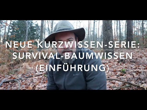 New Series: Short Survival Tree Knowledge - Introduction