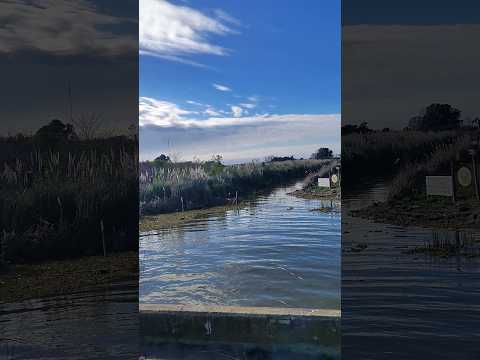 Arroyo y Laguna en Chascomús Buenos Aires Argentina