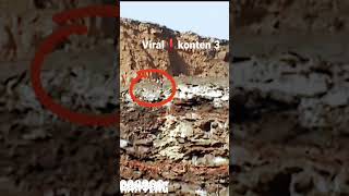 Download lagu Viral❗ iseng berujung maut #viral #konten #shorts mp3 Download lagu Viral❗ iseng berujung maut #viral #konten #shorts mp3
