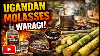 Download lagu Making Waragi From Scratch | The Raw Truth About Uganda's Most Potent Spirit mp3