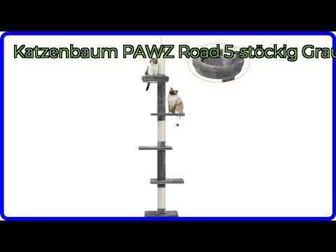 BEWERTUNG (2025): Katzenbaum PAWZ Road 5-stöckig Grau. WESENTLICHE Einzelheiten